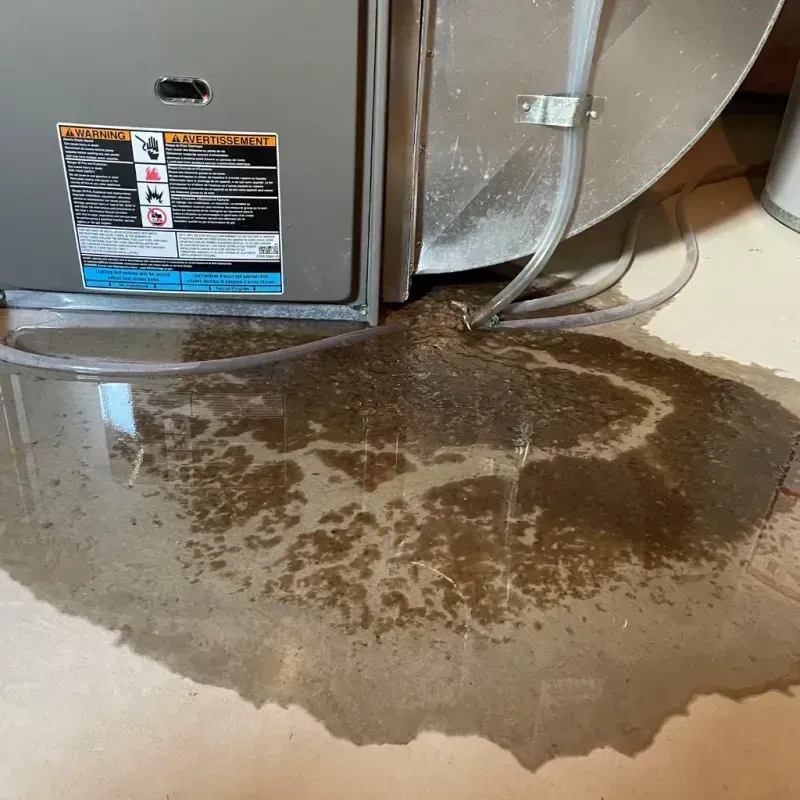 Appliance Leak Cleanup in Rhodhiss, NC